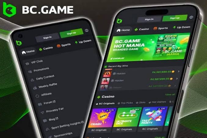 Explore BC.Game Casino The Future of Cryptocurrency Gaming Explore BC.Game Casino The Future of Cryptocurrency Gaming